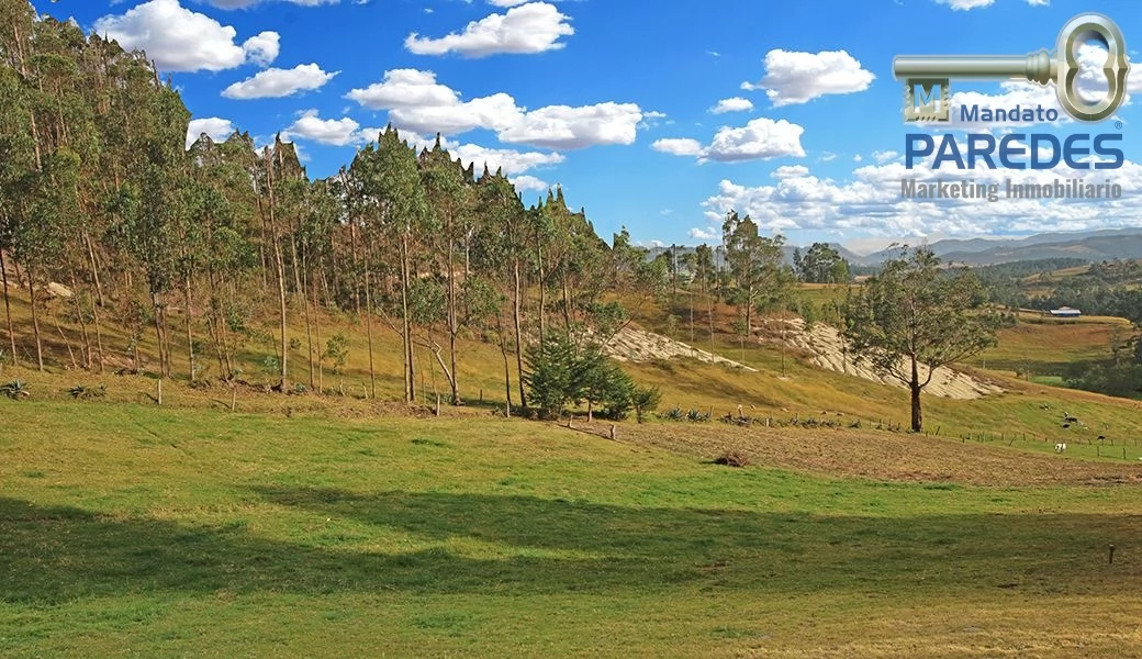 sitios-quintas-haciendas-TERRENOS EN VENTA DOS JUNTOS COMUNIDAD DE ZHIZHO 