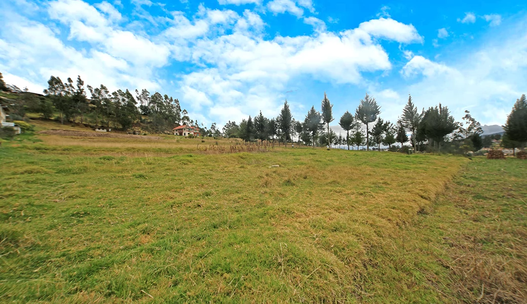 sitios-quintas-haciendas-LOTE DE TERRENO IDEAL PARA LOTIZAR Y URBANIZAR 